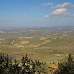 The gently rolling landscape as viewed from the Montalcino hill