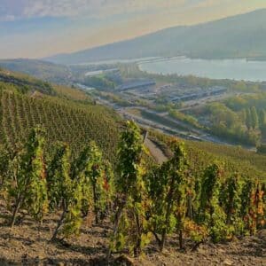 2330.A NON-TERRACED PARCEL IN NORTHERN LA LANDONNE