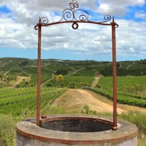 6545.Bodega Garzón, Uruguay