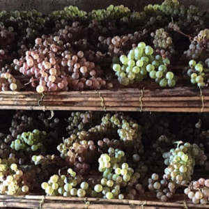 Tuscany Article Featured Image